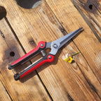 Floristsax image 1