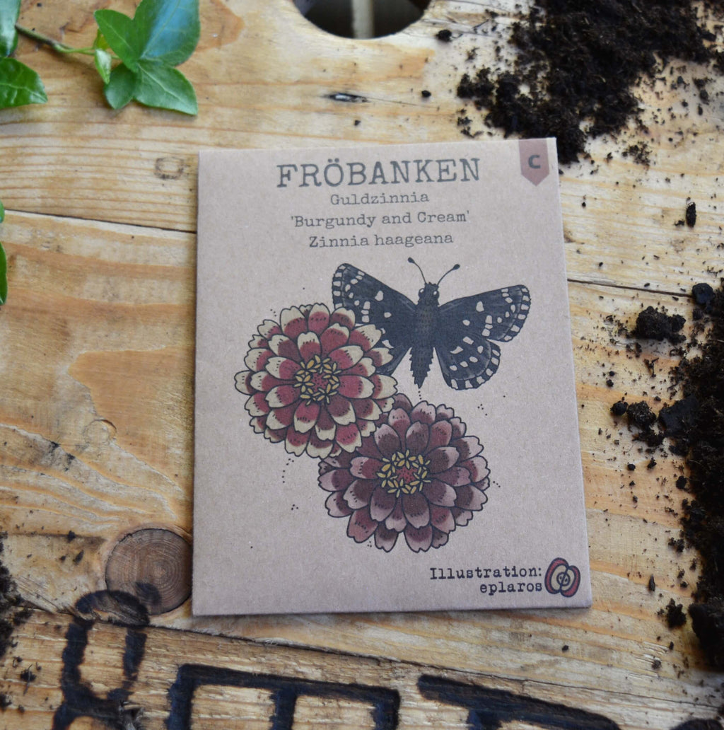 Guldzinnia - Burgundy and Cream image 0