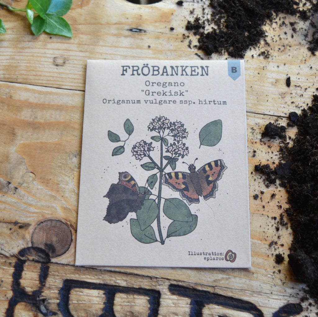Oregano - Grekisk image 0