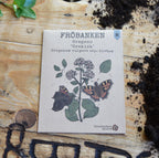 Oregano - Grekisk image 0