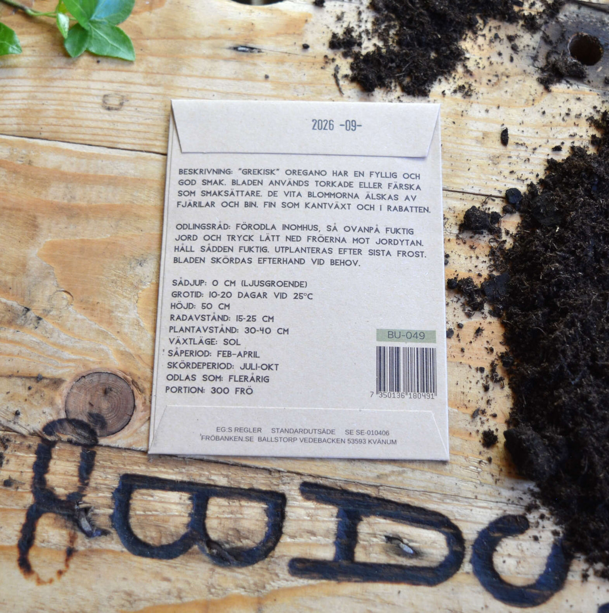Oregano - Grekisk image 1