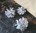 Tändkottar image 0